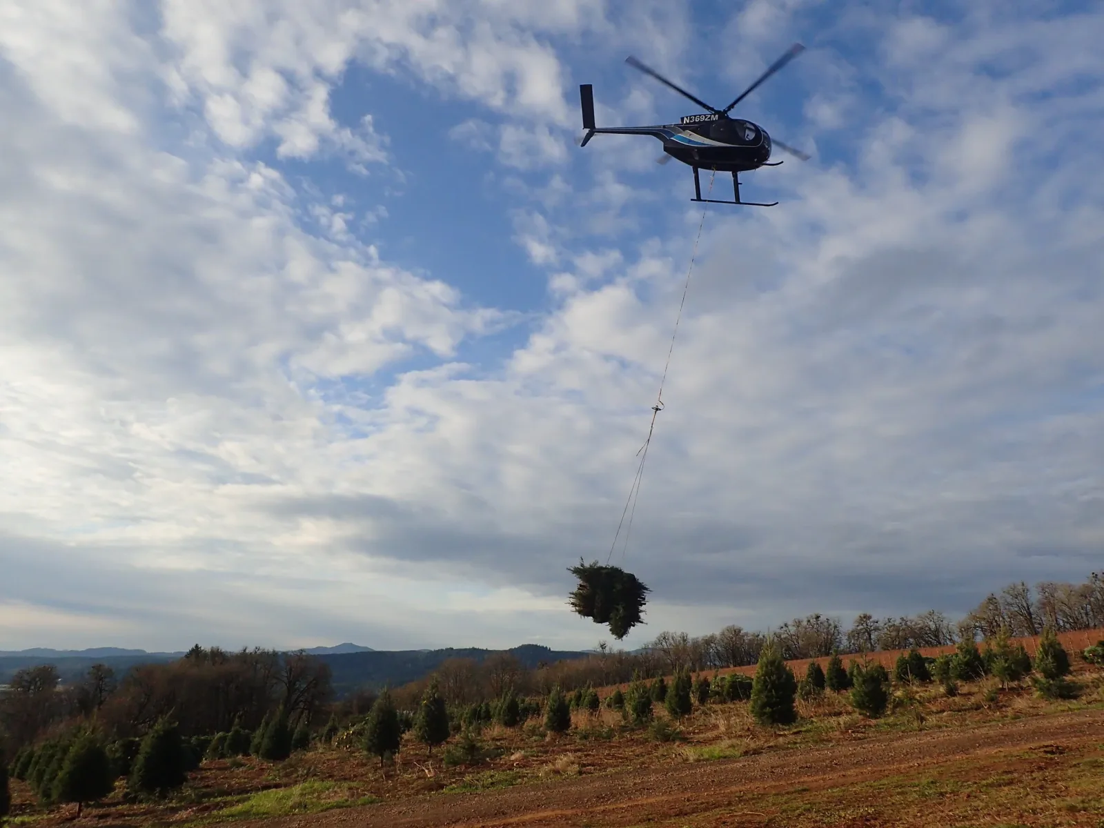 MD-500C in cruise during long-line training