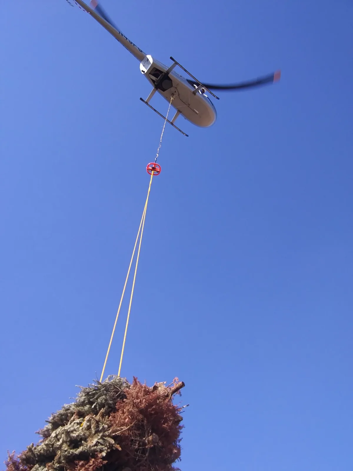 N45PG hovering with Christmas trees on long-line